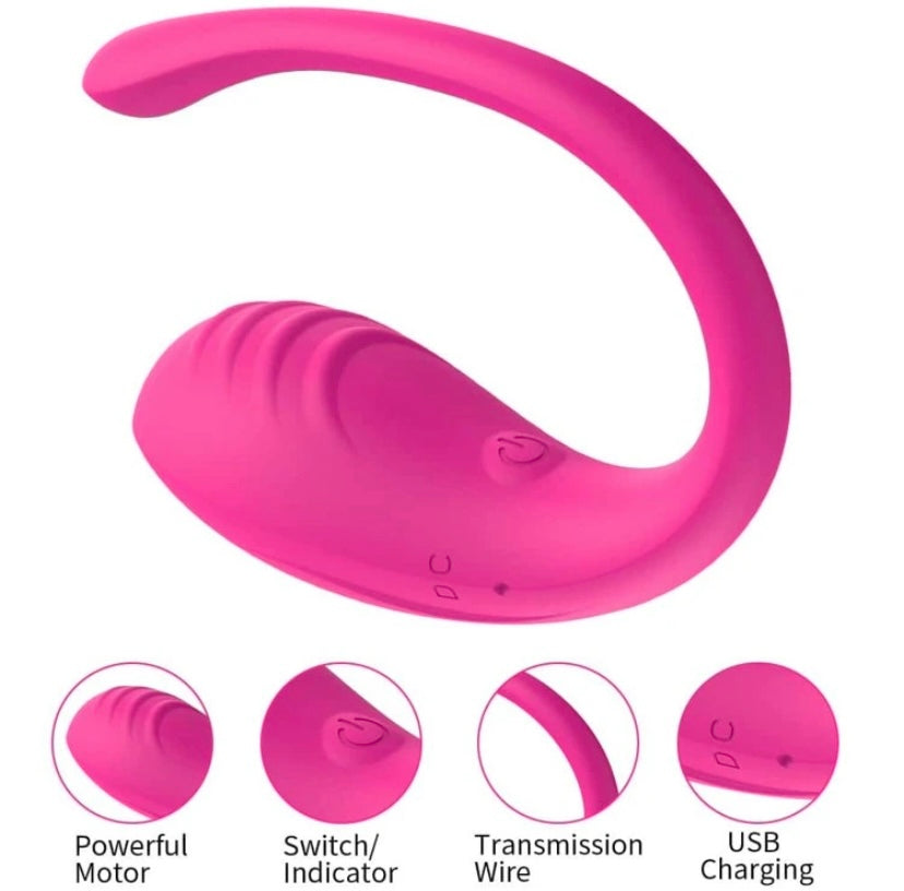 App Controlled Egg Vibrator